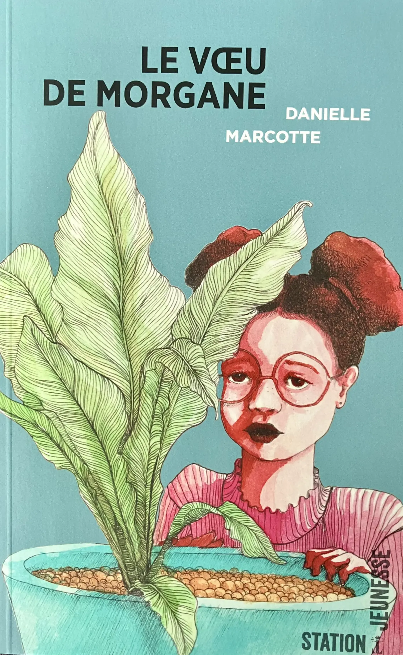 Le voeu de Morgane